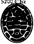 5201 HZ turtle